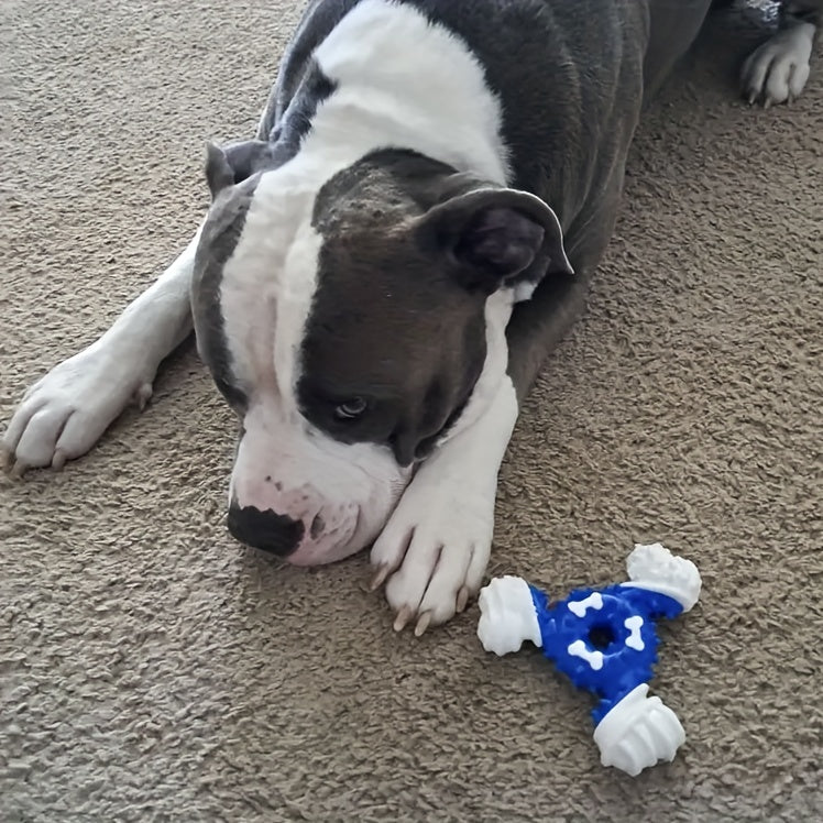 Durable Dog Chew Toy for Teeth Cleaning - Bite-Resistant Nylon Dental Stick with Interactive Puzzle Design, Ideal for Small to Medium Breeds, Promotes Healthy Chewing and Play, Dog Toys for Aggressive Chewers