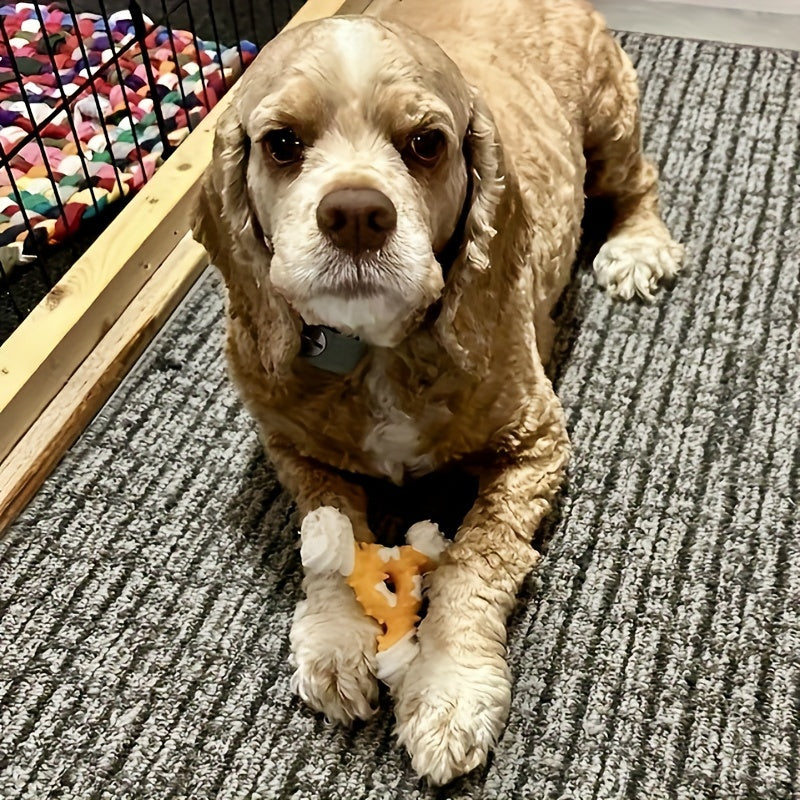 Durable Dog Chew Toy for Teeth Cleaning - Bite-Resistant Nylon Dental Stick with Interactive Puzzle Design, Ideal for Small to Medium Breeds, Promotes Healthy Chewing and Play, Dog Toys for Aggressive Chewers