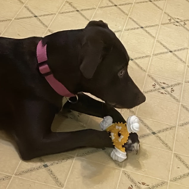 Durable Dog Chew Toy for Teeth Cleaning - Bite-Resistant Nylon Dental Stick with Interactive Puzzle Design, Ideal for Small to Medium Breeds, Promotes Healthy Chewing and Play, Dog Toys for Aggressive Chewers