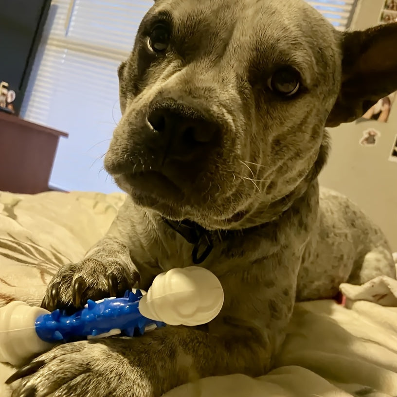 Durable Dog Chew Toy for Teeth Cleaning - Bite-Resistant Nylon Dental Stick with Interactive Puzzle Design, Ideal for Small to Medium Breeds, Promotes Healthy Chewing and Play, Dog Toys for Aggressive Chewers