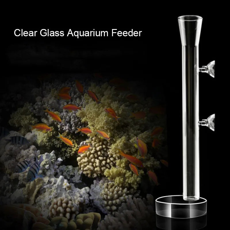 Glass Aquarium Feeder Tube Dish Transparent Fish Tank Shrimp Snail Food Feeder Bowl Aquarium Feeding Accessories Shrimp Feeders