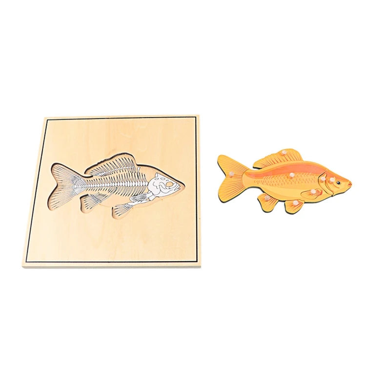 Children Educational Toys Montessori Materials Biology Wooden Skeleton Puzzle Frog Horse Tortiose Fish Bird Animal Toys for Boy