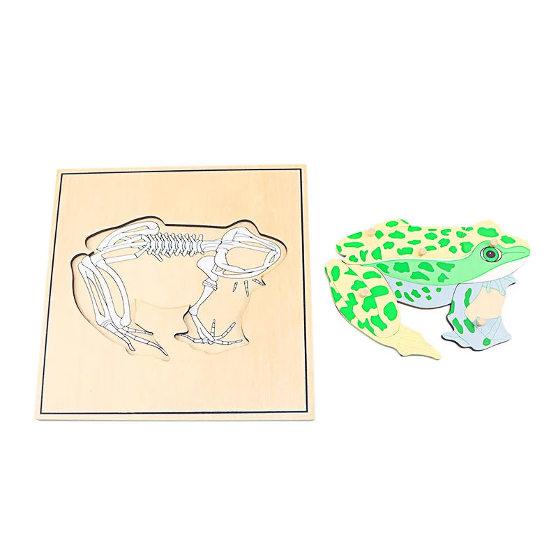 Children Educational Toys Montessori Materials Biology Wooden Skeleton Puzzle Frog Horse Tortiose Fish Bird Animal Toys for Boy