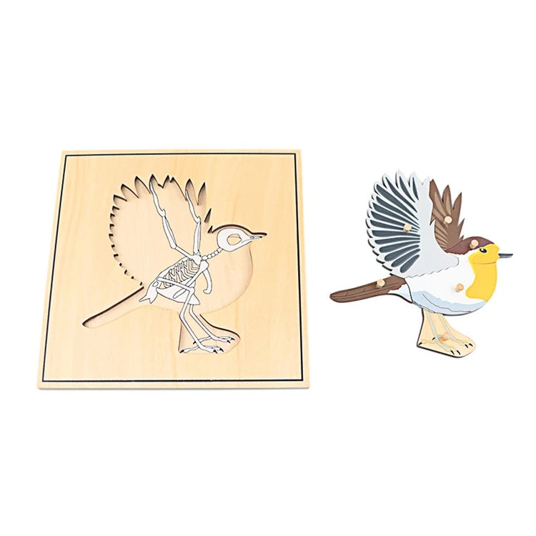 Children Educational Toys Montessori Materials Biology Wooden Skeleton Puzzle Frog Horse Tortiose Fish Bird Animal Toys for Boy