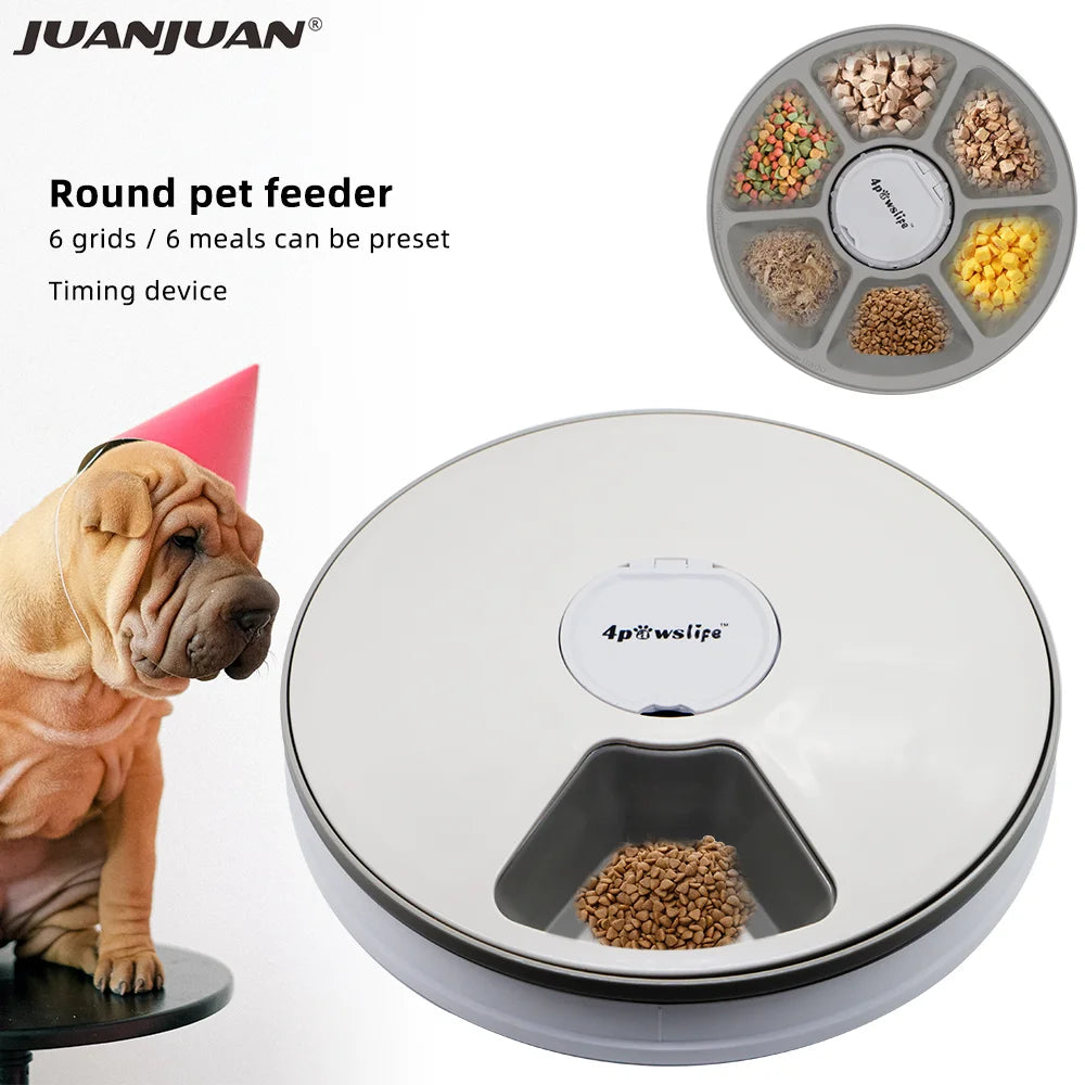 Automatic Pets Feeder Smart Food Dispenser For Cats Dogs With Voice Remind Pet Feed Tool Timer Bowl Pet Feeding Dog Accessories