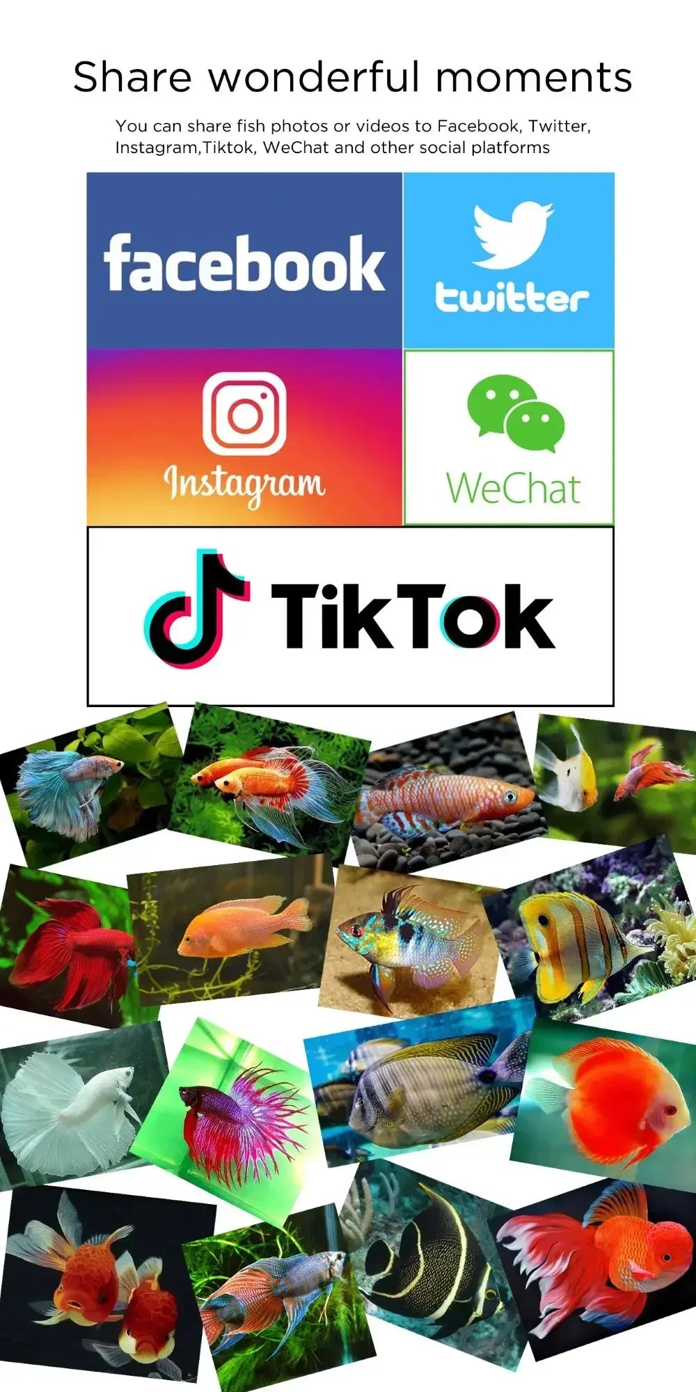 2025 IN STOCK High Quality Hot Sale Method Feeder Machine Fishing Auto Control Smart Wi-fi Feeder Fishing for Fishing with Wi-Fi