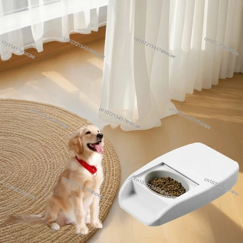 NEW Smart RFID Pet Feeder Bowl For Cats Dog And Multi Pets Homes Intelligent Automatic Timed Cat Food Dispenser
