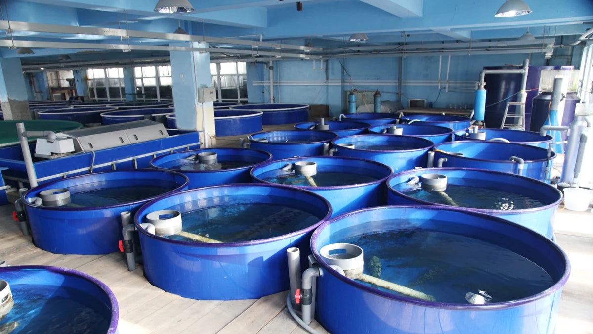 Automatic Smart Fish Feeder For Aquariums And Ponds New Condition Aquaculture Equipment For Farm Industries