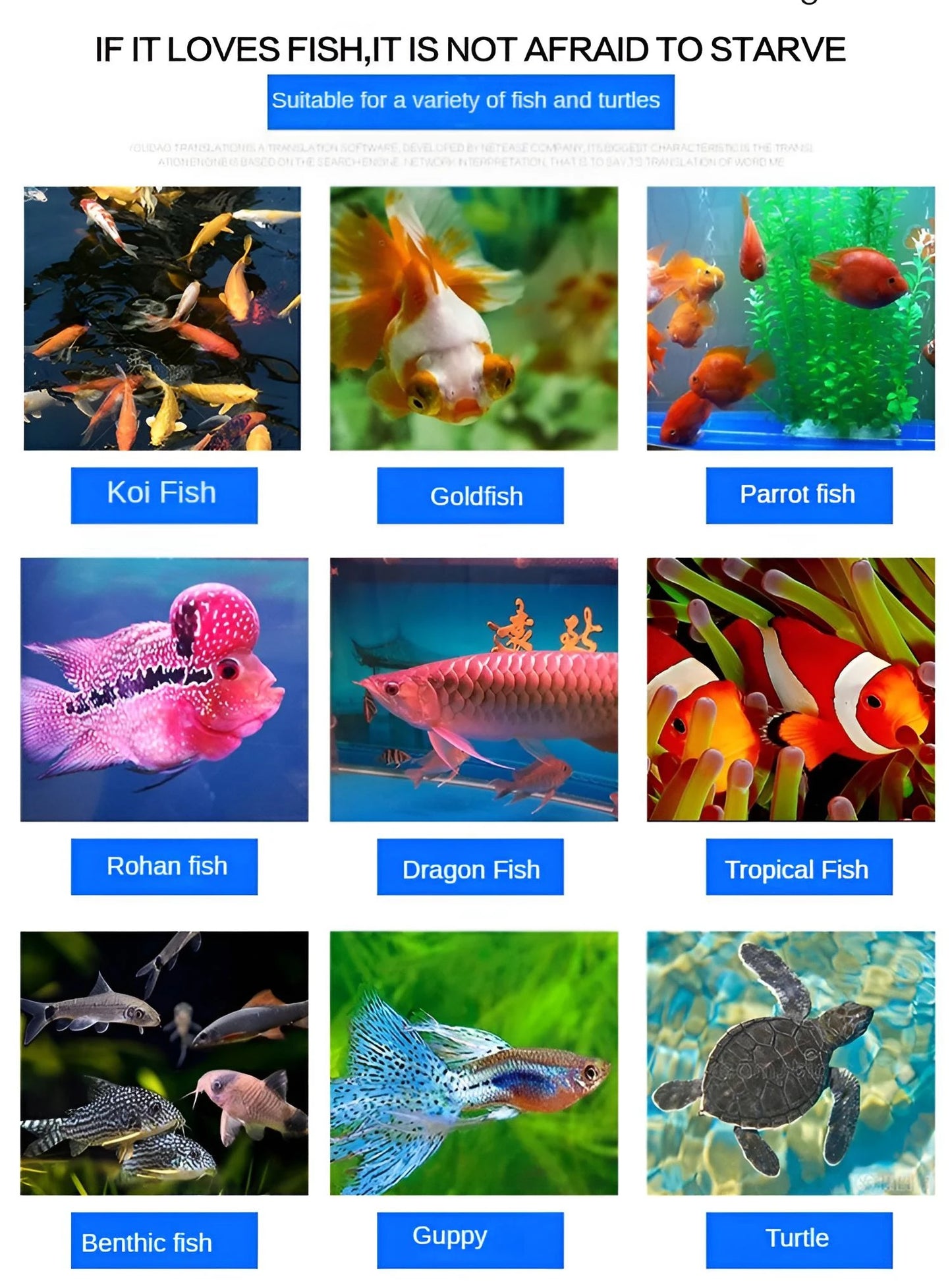 Automatic Fish Feeder with Smart Timer, 3 Feeding Modes, Large Capacity & Quiet for Aquarium Fish/Turtles