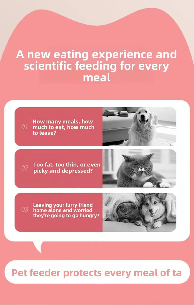 Automatic Smart Pet Feeder，Foot Pedal Operation - Free Automatic Dispenser for Cats and Dogs，Foot activated feeding system for k