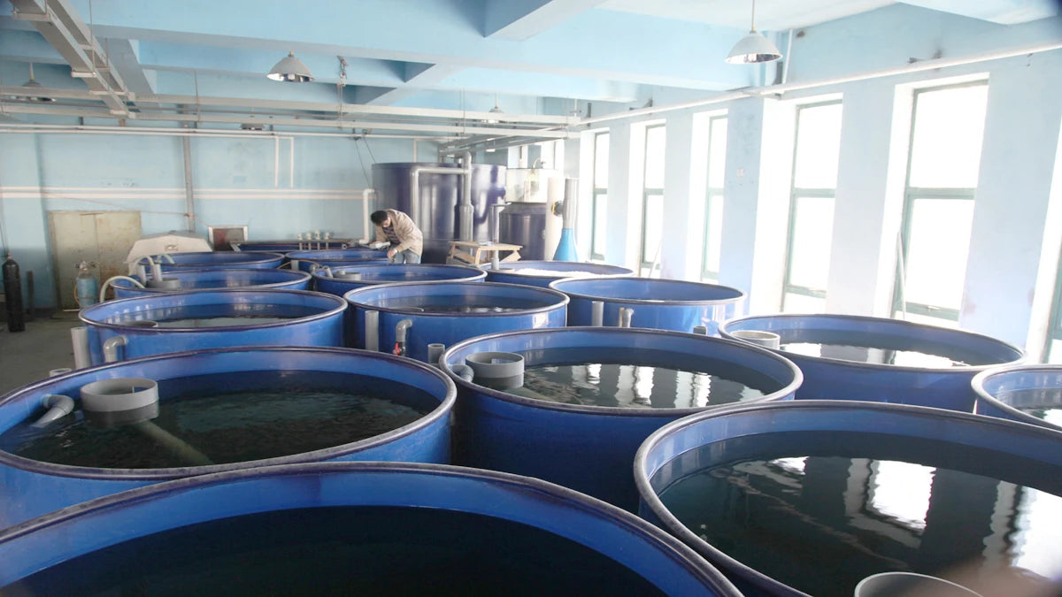 Automatic Smart Fish Feeder For Aquariums And Ponds New Condition Aquaculture Equipment For Farm Industries