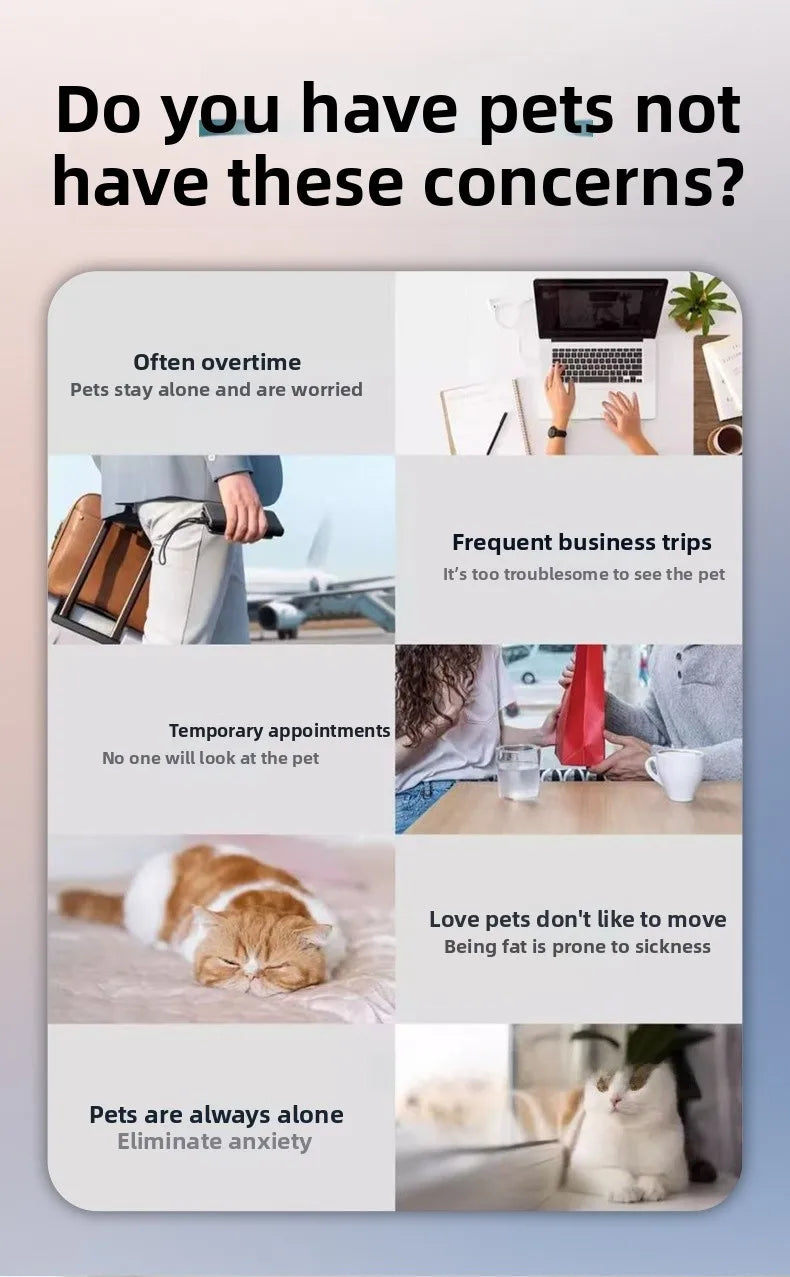 Intelligent pet feeder can be remotely controlled equipped with a camera capable of moving communicating and featuring a laser