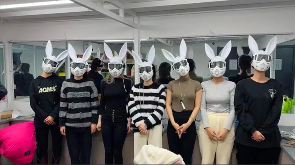 Halloween Bunny Girl Colplay Bluetooth APP Light Up Purge Mask Halloween Masquerade Party LED Face Masks for Kids Men Women