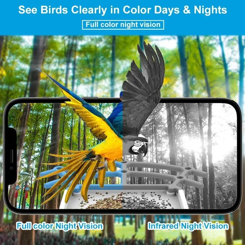 Bird Smart Feeder with 2.5K HD Camera Solar Low Power Night Vision IP66 Waterproof 4G or WIFI Connect Real Bird Species Feeder