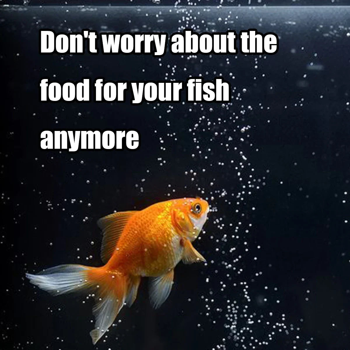 Automatic Fish Feeder 100ml/3.38oz, Smart Timer Auto Fish Food Dispenser with Battery, Easy Install for Aquarium Fish Tank