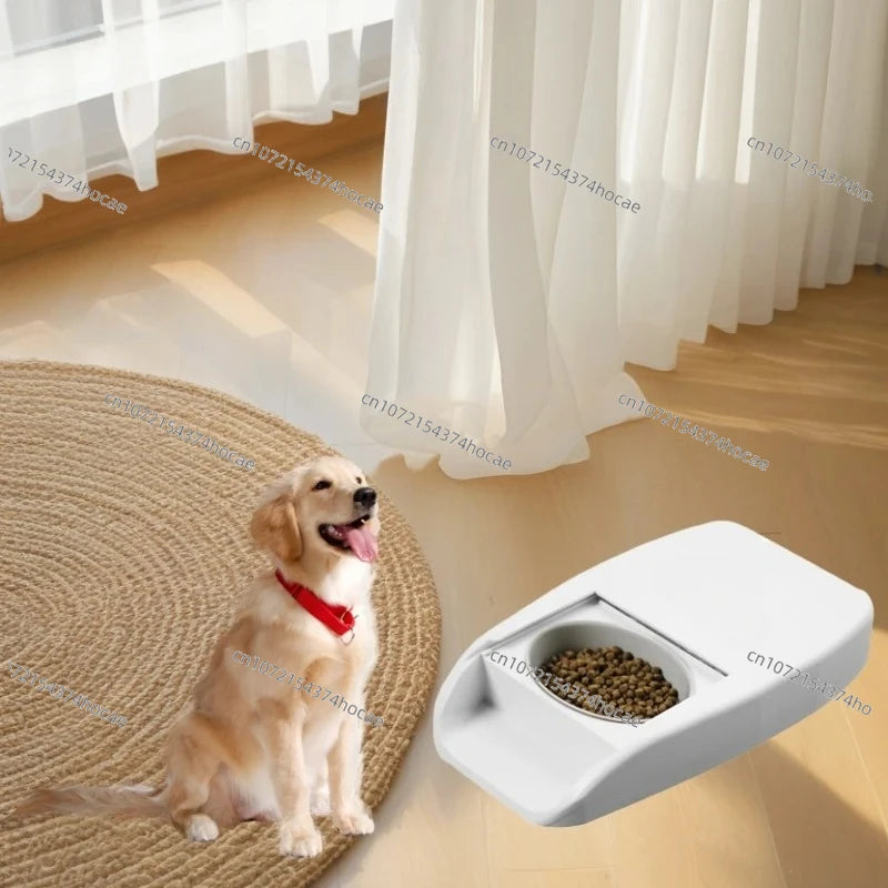 NEW Smart RFID Pet Feeder Bowl For Cats Dog And Multi Pets Homes Intelligent Automatic Timed Cat Food Dispenser
