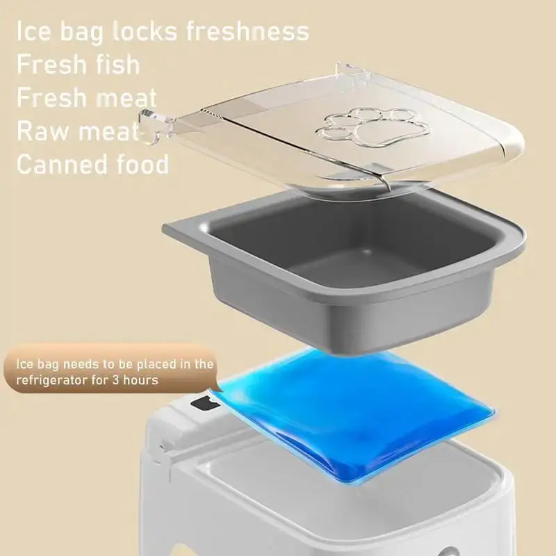 Smart Pet Feeder Automatic Pet Dispenser Sensor Timed Cat Feeding Dog Slow Food Dry and Wet Feeder Cat and Dog Bowl