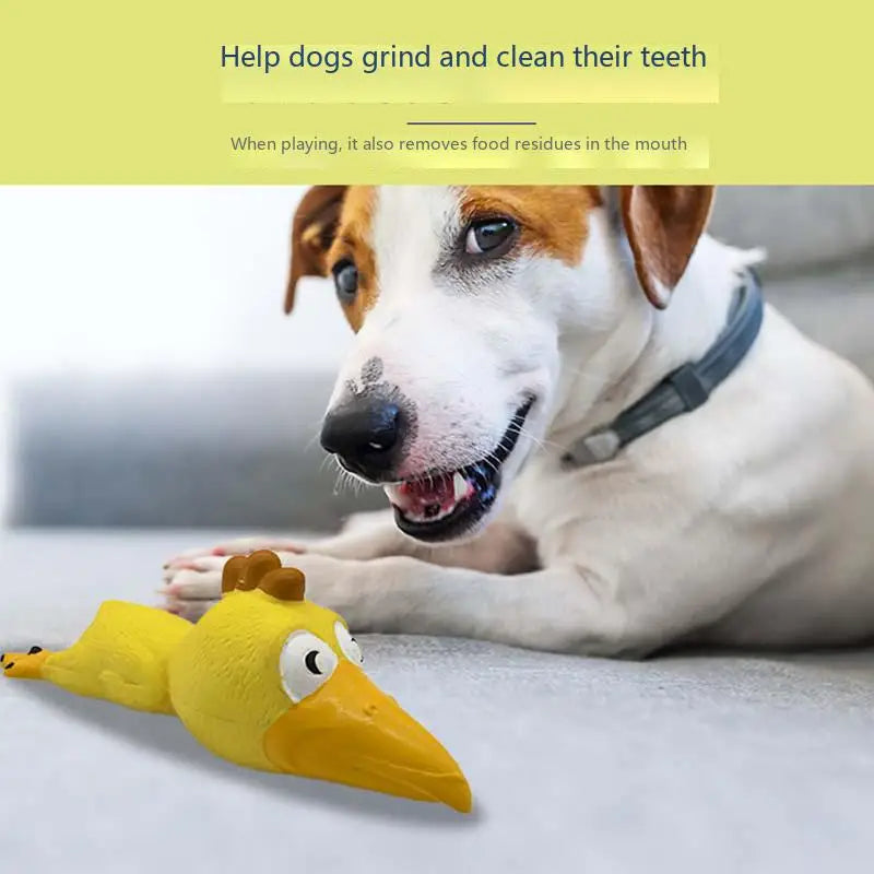 Dog Toys Latex Sound Toys Pig Resistant Bite Pet Toys Teething Pet Supplies Dog Toys