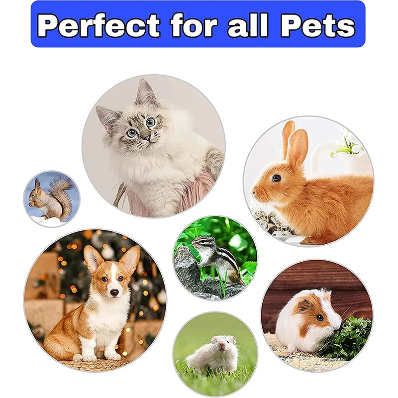 Rabbit Grooming Kit Tear Stain Remover Cleaning Combs Pet Nail Clipper Double-Sided Shampoo Bath Brush for Guinea Pig Bunny