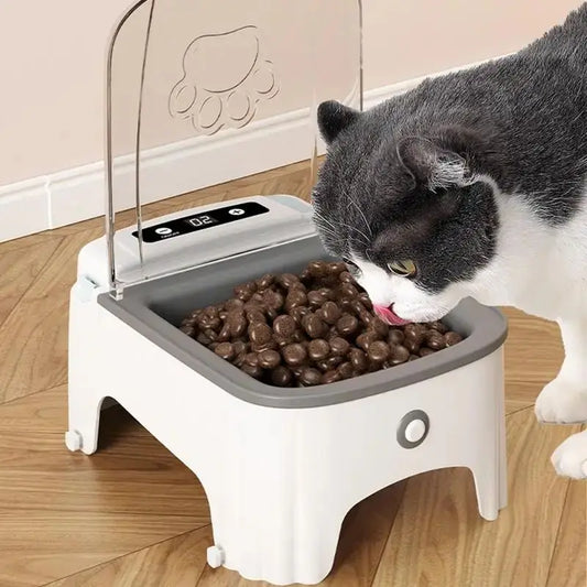 Smart Pet Feeder Automatic Pet Dispenser Sensor Timed Cat Feeding Dog Slow Food Dry and Wet Feeder Cat and Dog Bowl
