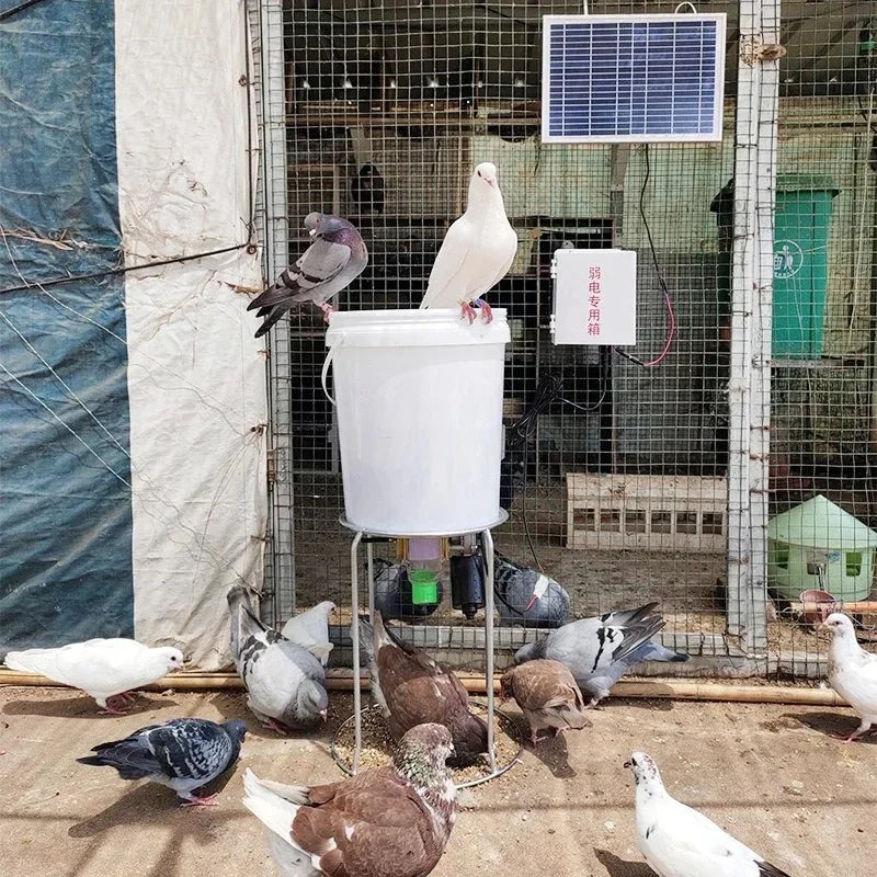 Chicken Feeding Automatic Feeder Chicken Feeding Remote Feeding Feeder Pigeon Feed Timing Solar Feeder