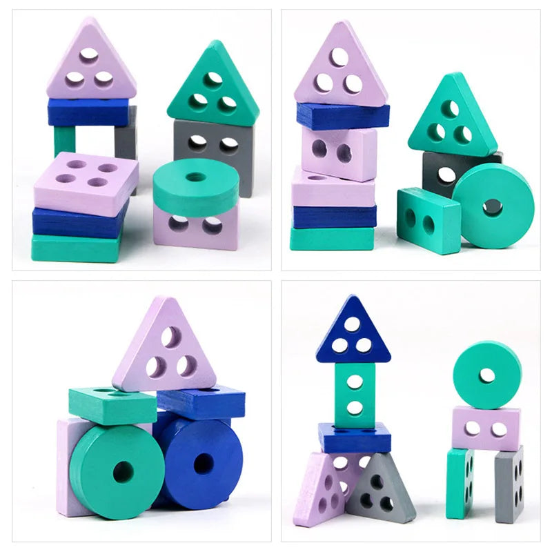 Montessori Toy Wooden Building Blocks Early Learning Educational Toys Color Shape Match Kids Puzzle Toys for Children Boys Girls