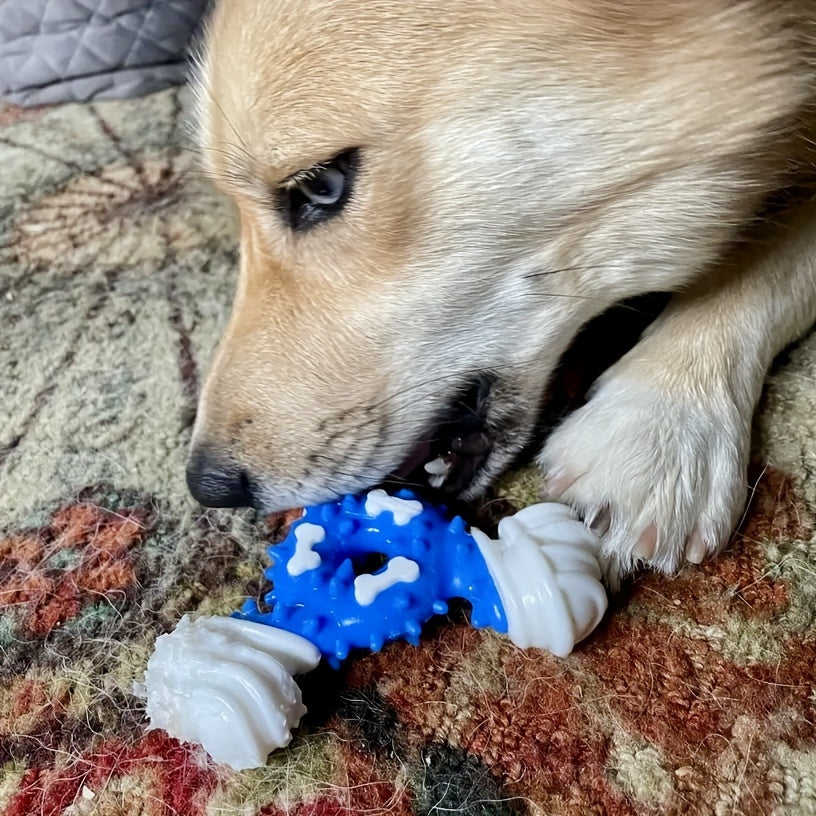 Durable Dog Chew Toy for Teeth Cleaning - Bite-Resistant Nylon Dental Stick with Interactive Puzzle Design, Ideal for Small to Medium Breeds, Promotes Healthy Chewing and Play, Dog Toys for Aggressive Chewers