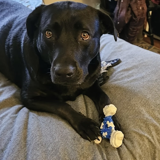 Durable Dog Chew Toy for Teeth Cleaning - Bite-Resistant Nylon Dental Stick with Interactive Puzzle Design, Ideal for Small to Medium Breeds, Promotes Healthy Chewing and Play, Dog Toys for Aggressive Chewers