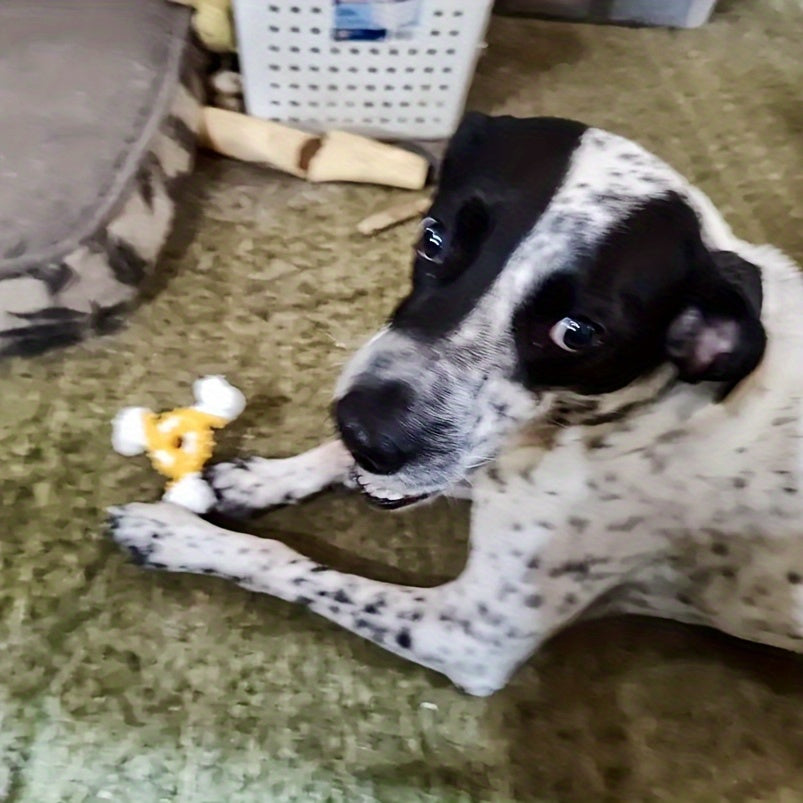 Durable Dog Chew Toy for Teeth Cleaning - Bite-Resistant Nylon Dental Stick with Interactive Puzzle Design, Ideal for Small to Medium Breeds, Promotes Healthy Chewing and Play, Dog Toys for Aggressive Chewers