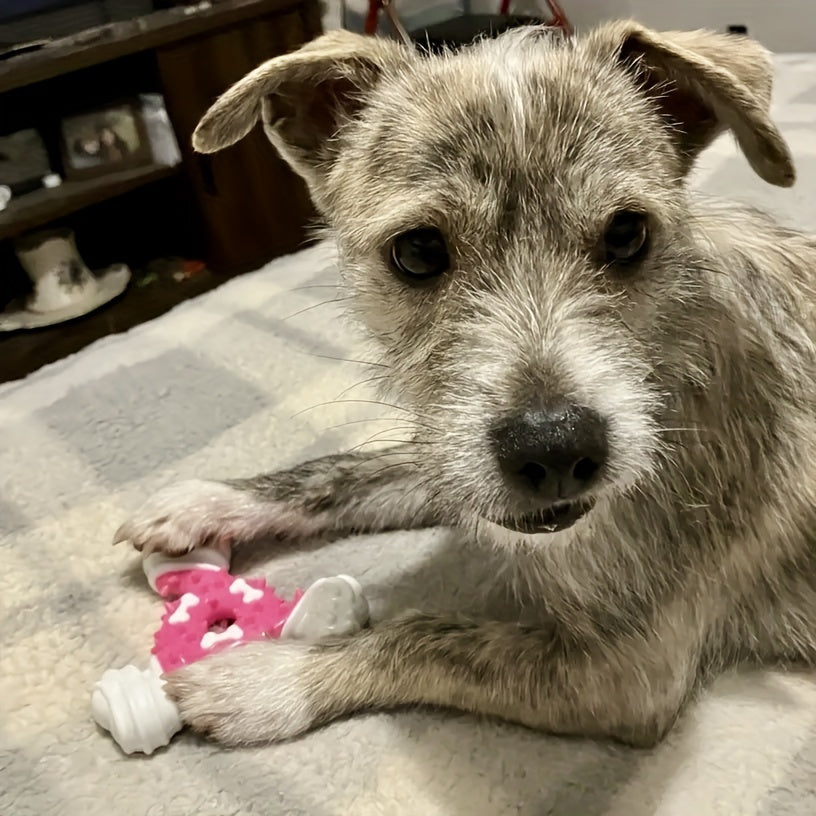 Durable Dog Chew Toy for Teeth Cleaning - Bite-Resistant Nylon Dental Stick with Interactive Puzzle Design, Ideal for Small to Medium Breeds, Promotes Healthy Chewing and Play, Dog Toys for Aggressive Chewers